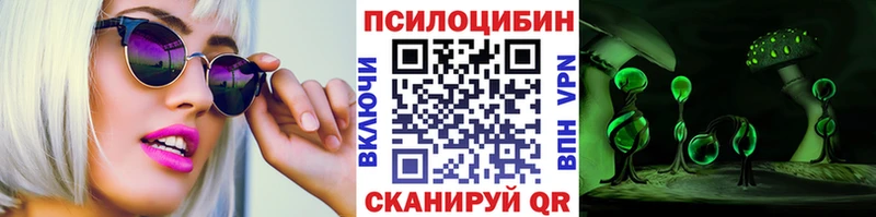 закладки  Мамоново  Галлюциногенные грибы Cubensis 