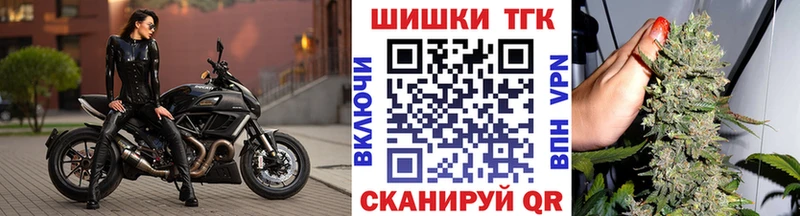 хочу наркоту  Мамоново  Каннабис индика 